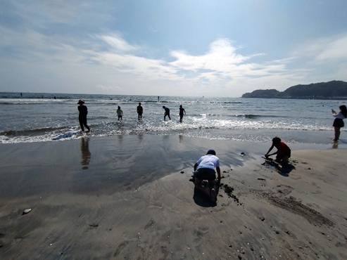 8�l�A�C�A�r�[�`�̉摜�̂悤�ł�